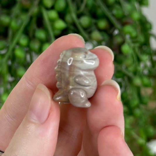 Alashan Mini Chubby Dino 3