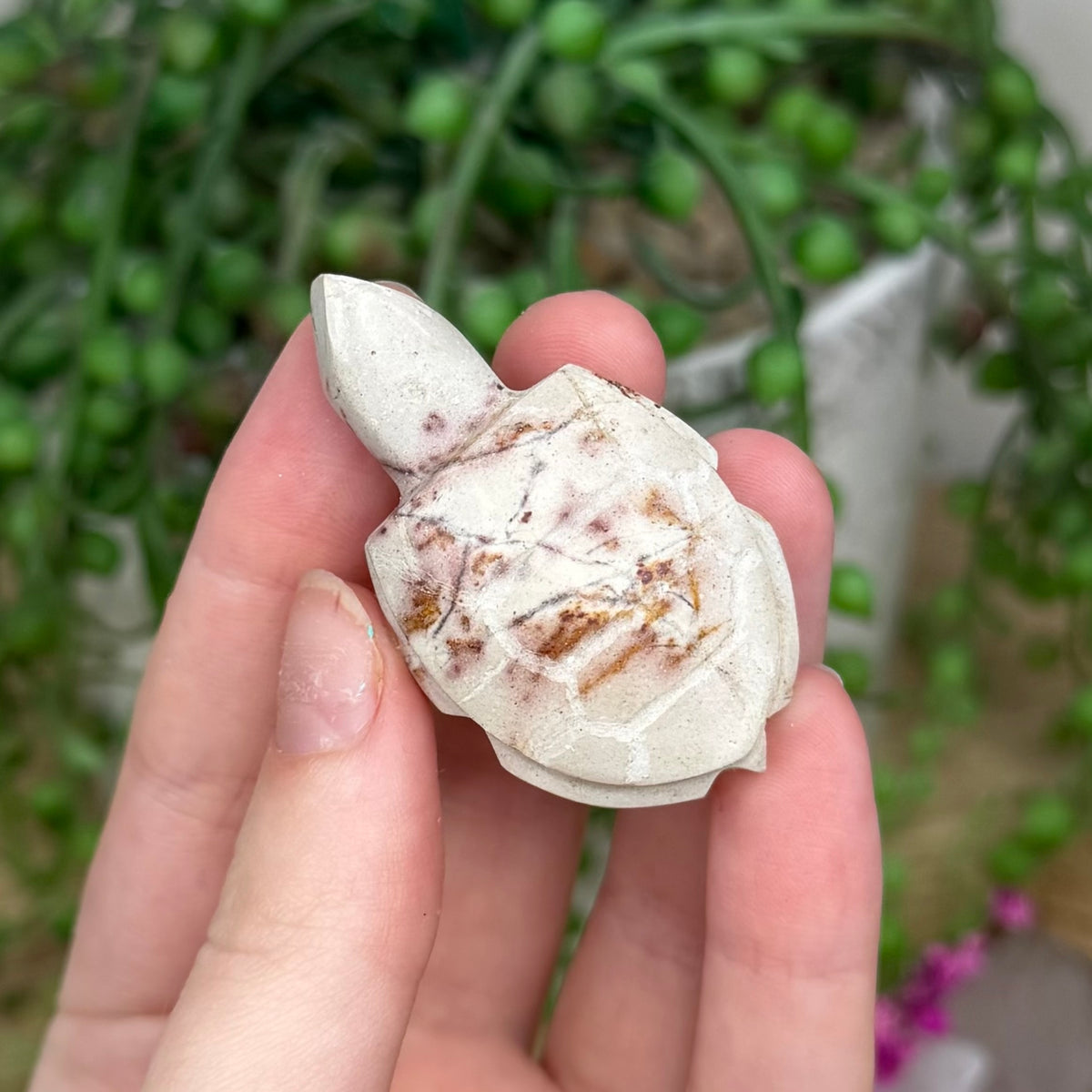 Picture Stone Jasper Turtle (212B)