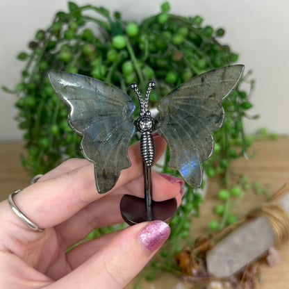 Labradorite Butterfly Wings On Stand (W55)