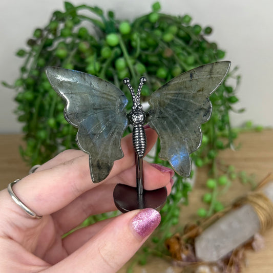 Labradorite Butterfly Wings On Stand (W55)