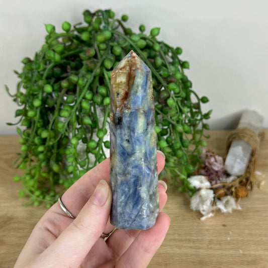 Blue Kyanite Point (L538)