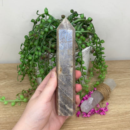 Moonstone Tower (920A)