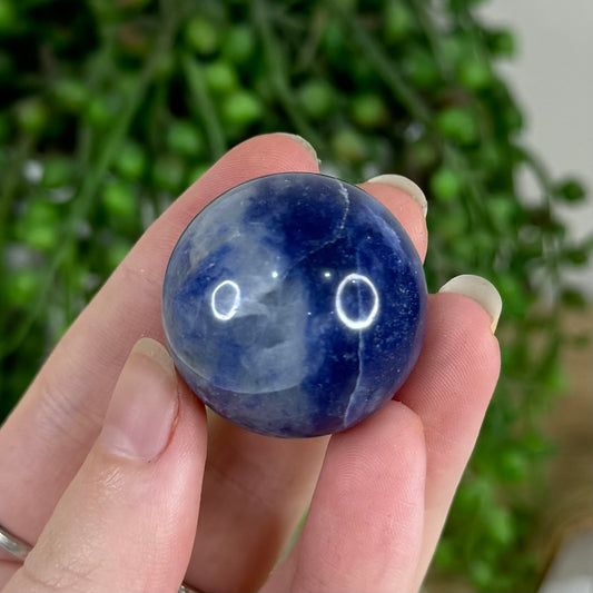 Sodalite Sphere (Q800)