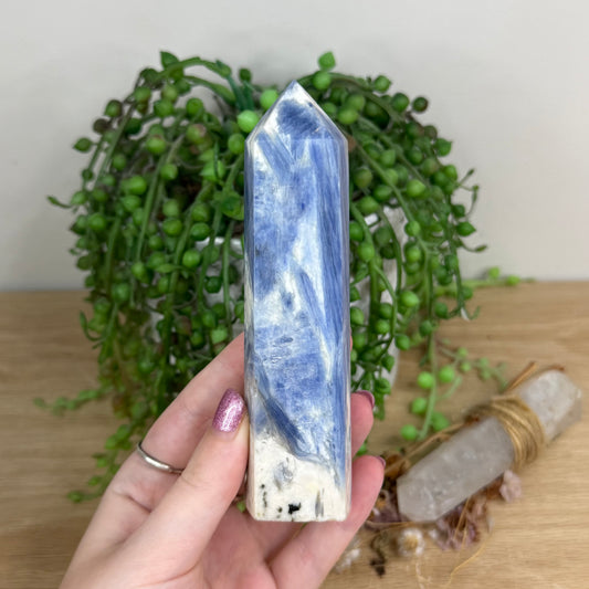 Blue Kyanite Point (Q93)