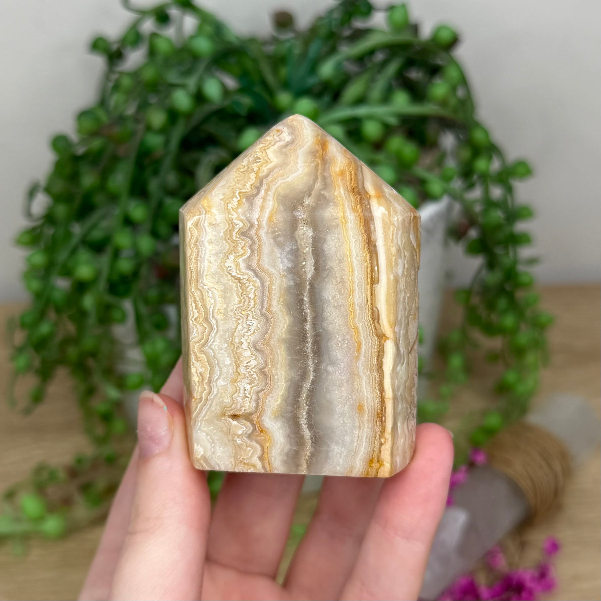 Crazy Lace Agate Domino Point (209B)