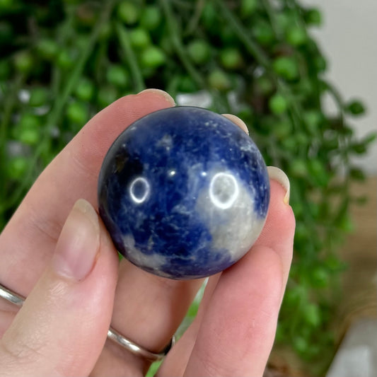 Sodalite Sphere (Q806)