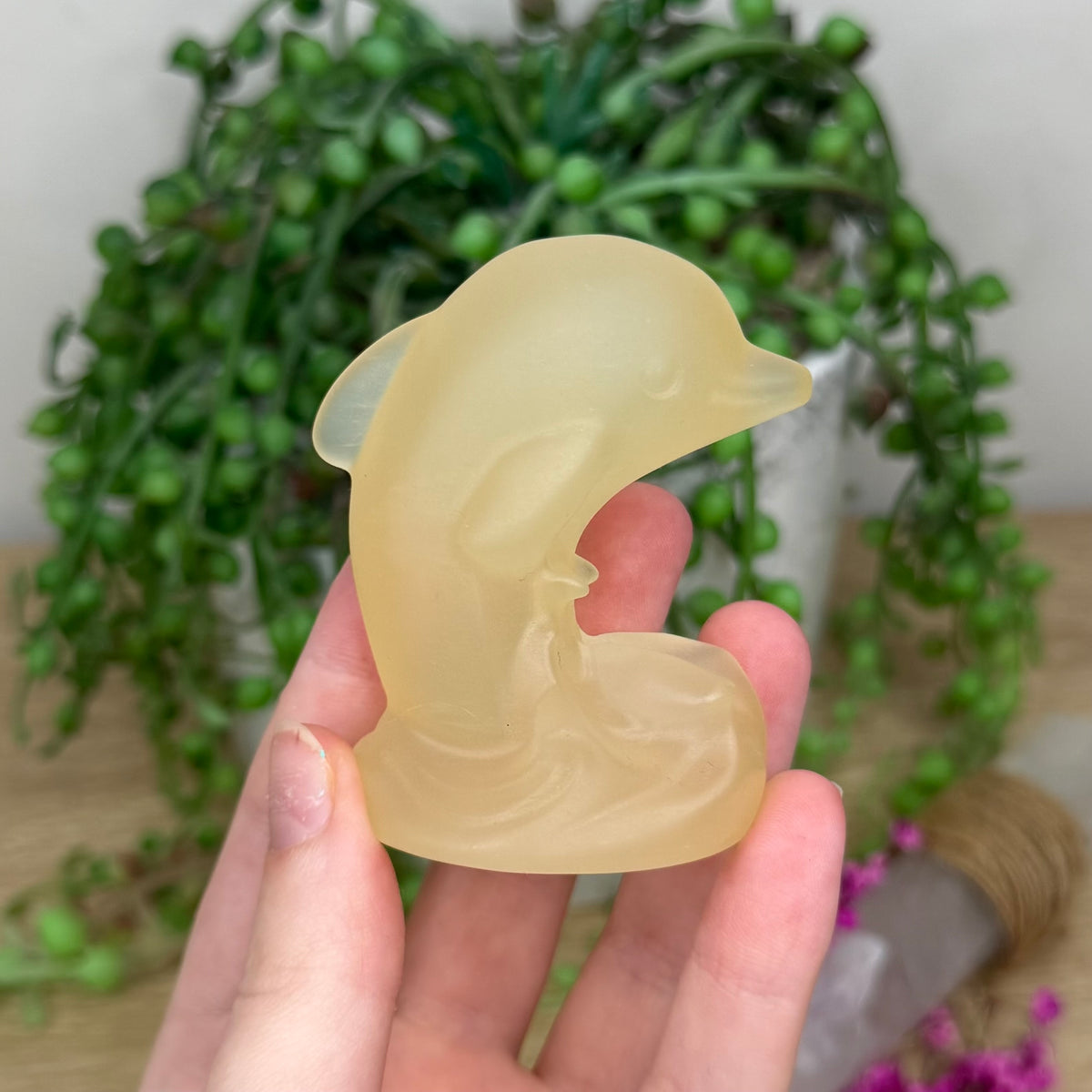 Citrine Dolphin (313B)
