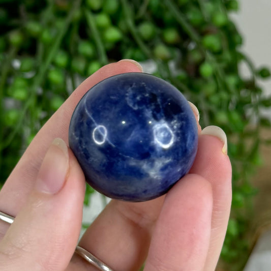 Sodalite Sphere (Q808)