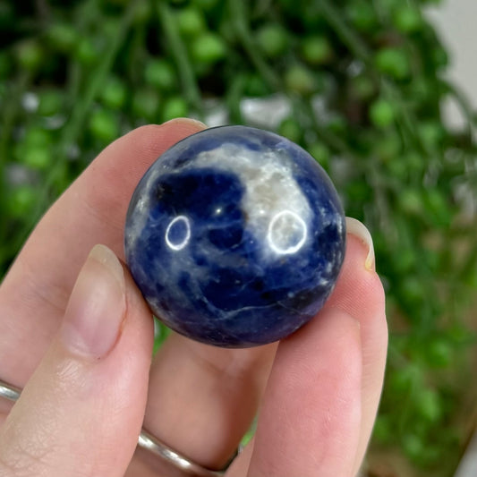 Sodalite Sphere (Q794)