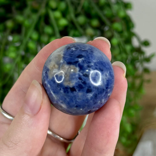 Sodalite Sphere (Q807)