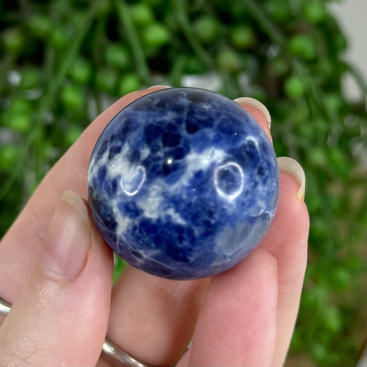 Sodalite Sphere (Q801)