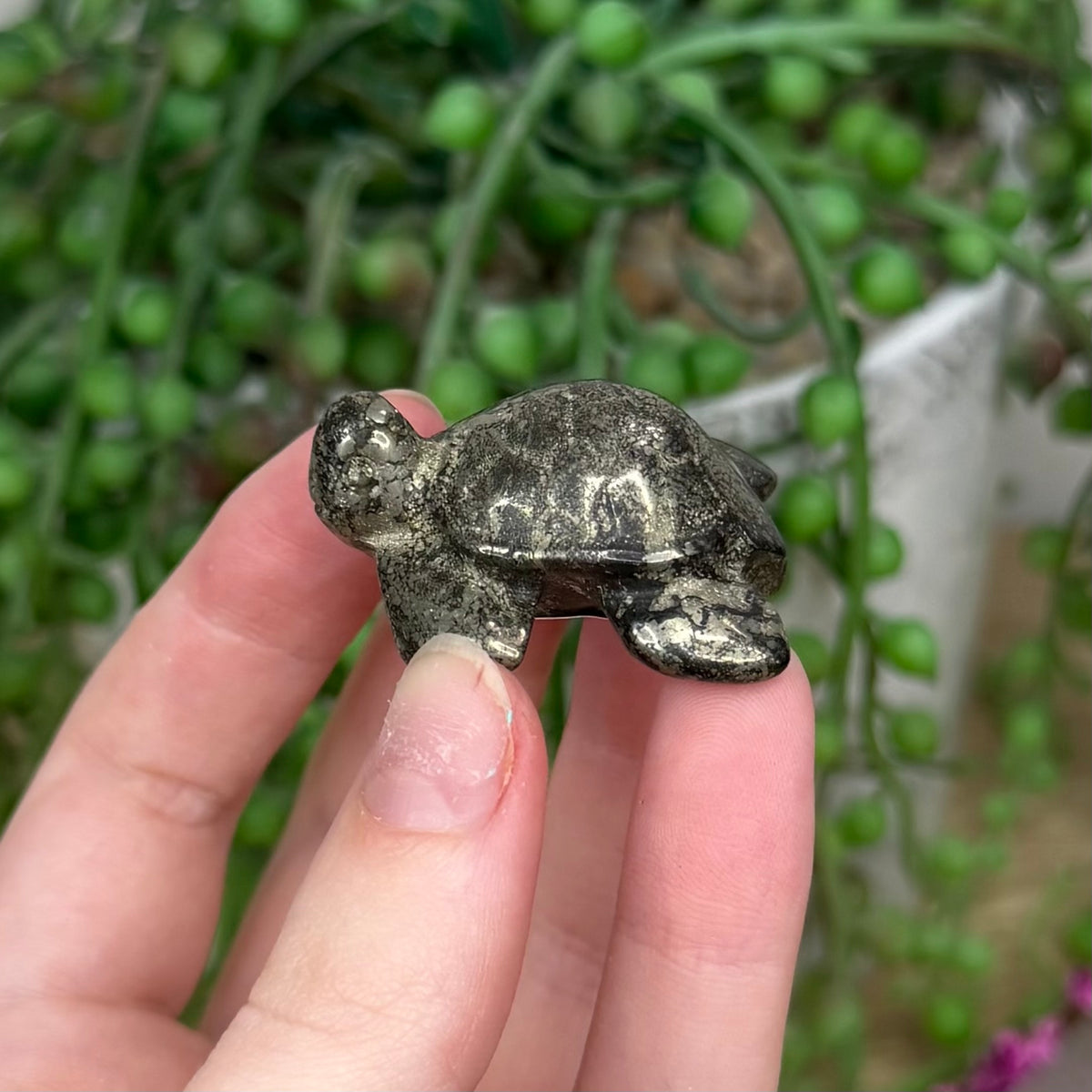 Pyrite Turtle (138B)