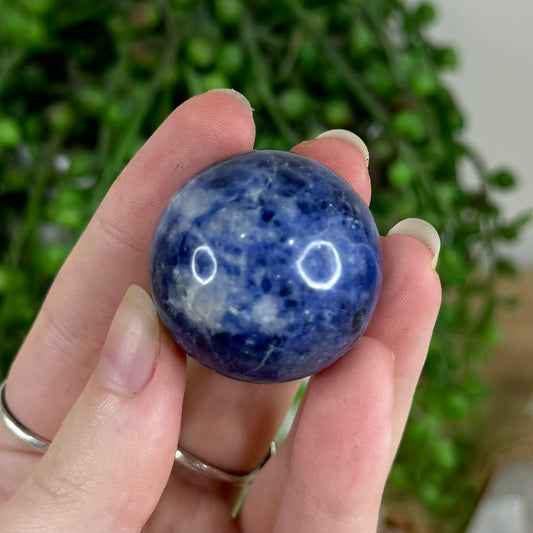 Sodalite Sphere (Q803)
