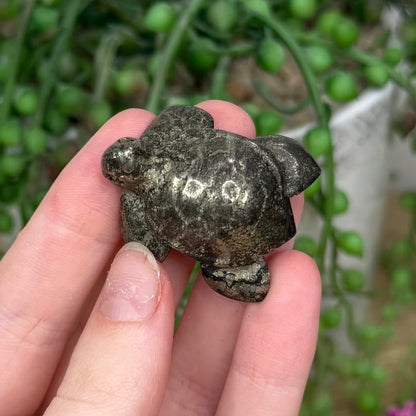 Pyrite Turtle (138B)