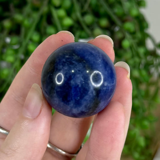 Sodalite Sphere (Q796)