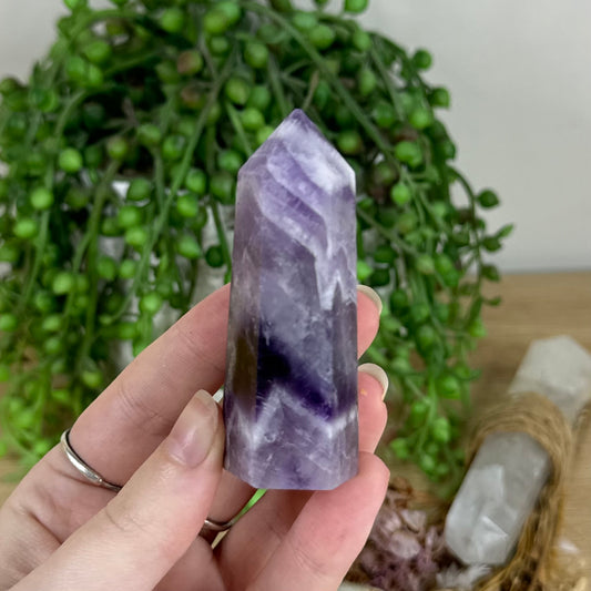 Dream Amethyst Point (Q993)