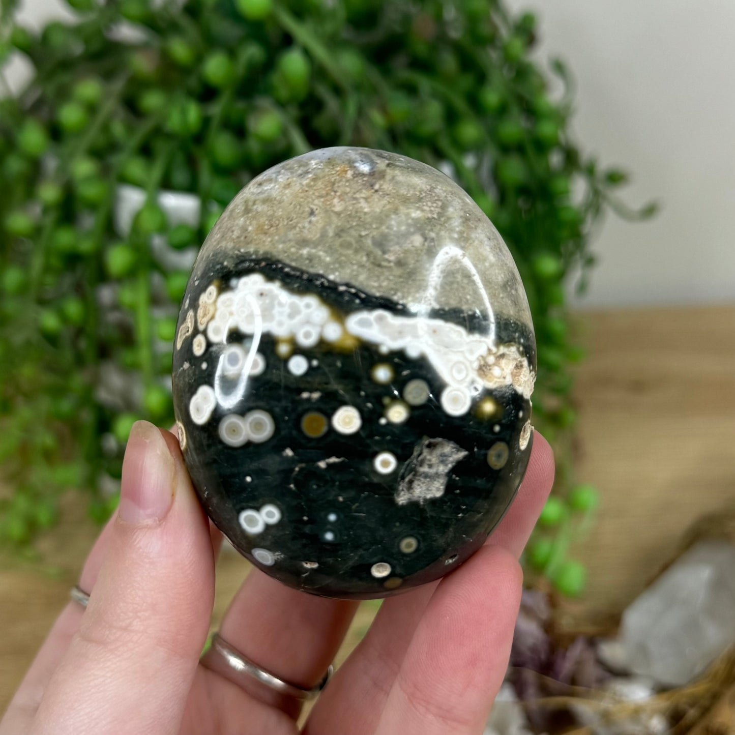 Ocean Jasper Palm Stone (N68)