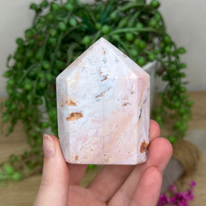 Pink Carnelian Domino Point (223B)