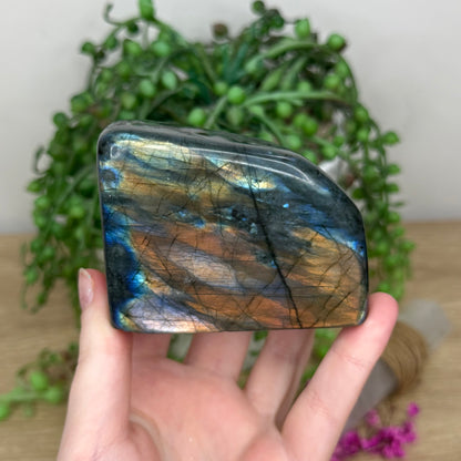 Labradorite Free Form (915A)