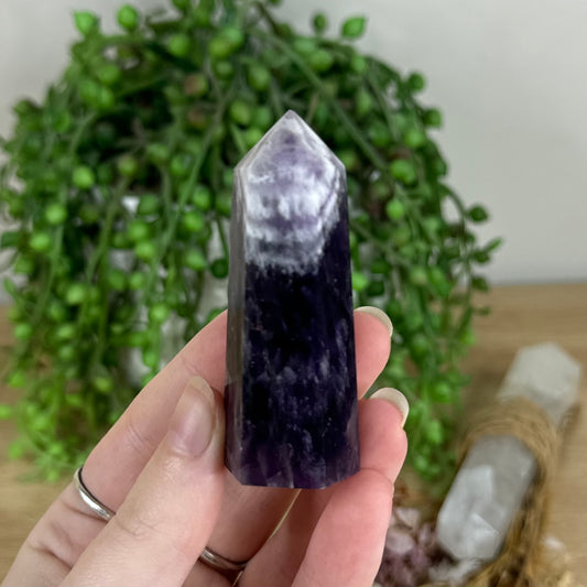 Dream Amethyst Point (Q990)