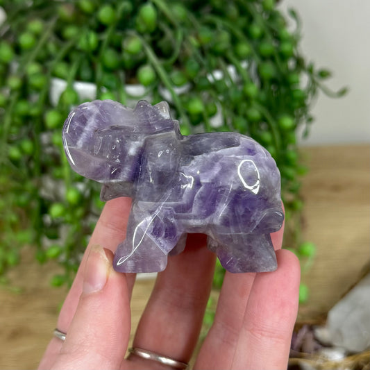 Dream Amethyst Elephant (M403)