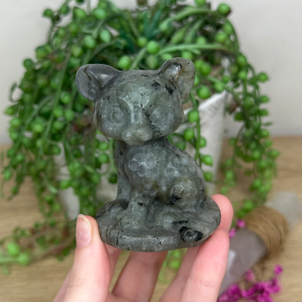 Labradorite Cheetah (167B)