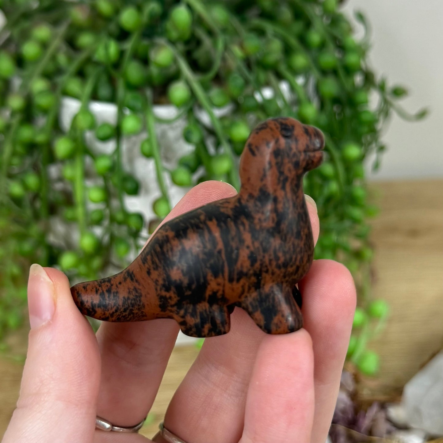 Mahogany Obsidian Dinosaur (M928)