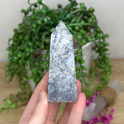Blue Plume Agate Point (185B)
