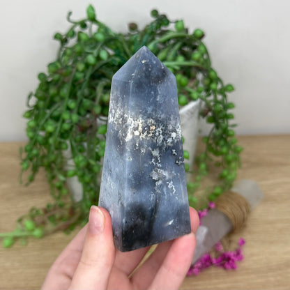 Blue Plume Agate Point (187B)