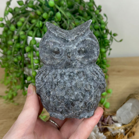 Yooperlite Owl (M660)