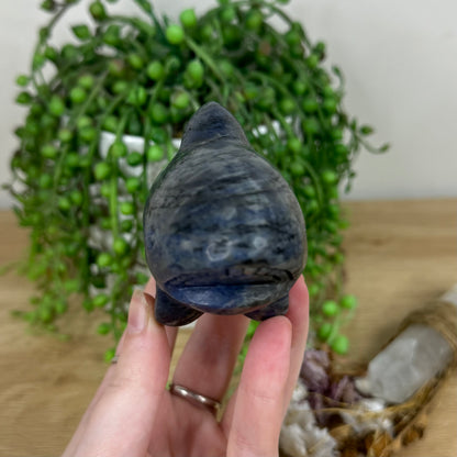 Sodalite Shark (M822)