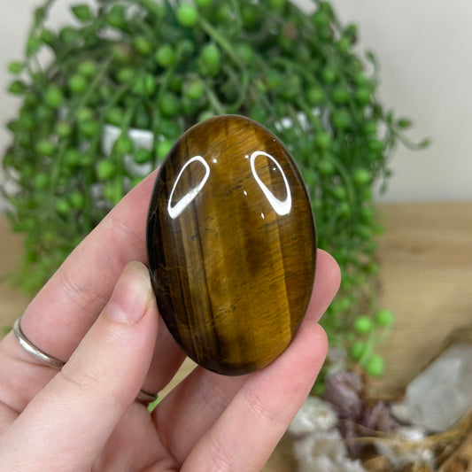 Tiger Eye Palm Stone (M937)