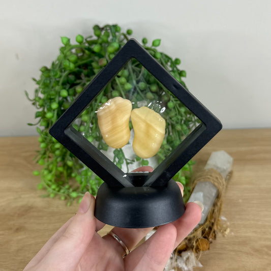 Yellow Calcite Baby Feet In Case (R81)