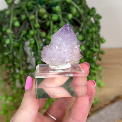 Spirit Quartz Cluster (X249)