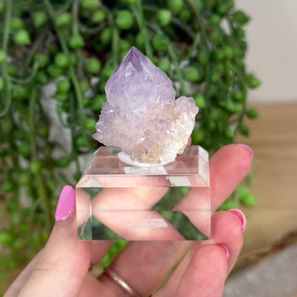 Spirit Quartz Cluster (X249)