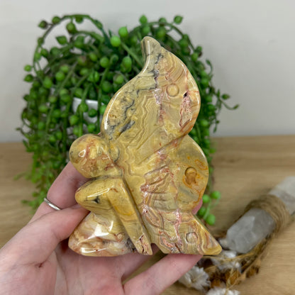 Crazy Lace Agate Pixie (N56)