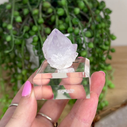 Spirit Quartz Cluster (X242)