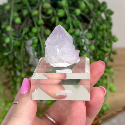 Spirit Quartz Cluster (X242)