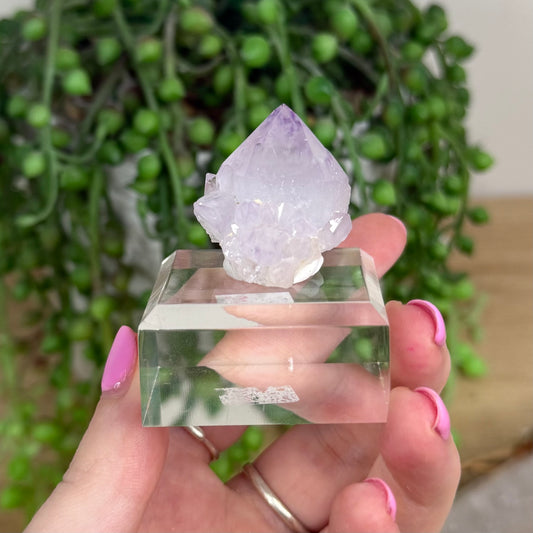 Spirit Quartz Cluster (X242)