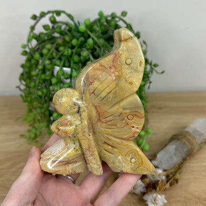 Crazy Lace Agate Pixie (N55)