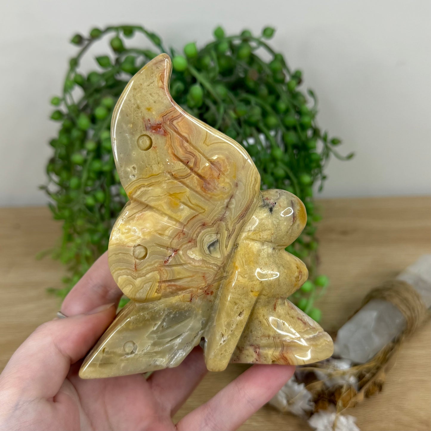 Crazy Lace Agate Pixie (N55)