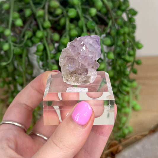 Spirit Quartz Cluster (X245)