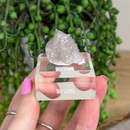 Spirit Quartz Cluster (X240)