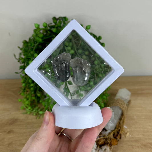 Labradorite Baby Feet In Case (R83)