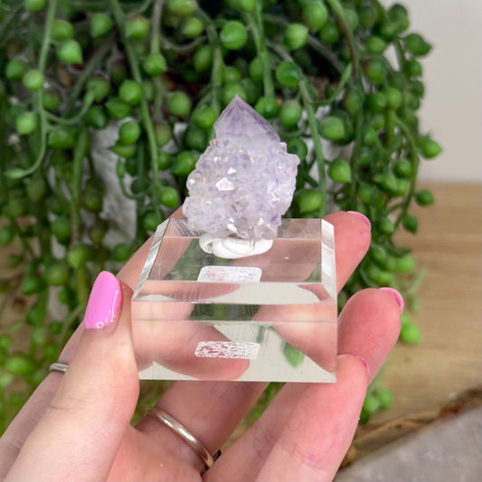 Spirit Quartz Cluster (X241)