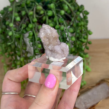 Spirit Quartz Cluster (X246)