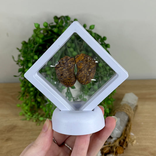 Calligraphy Stone Baby Feet In Case (R78)