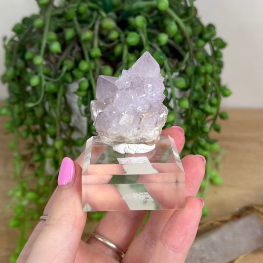 Spirit Quartz Cluster (X248)