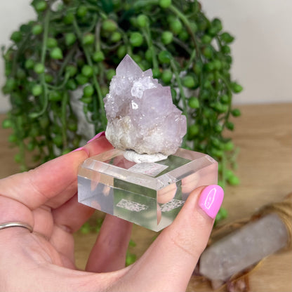Spirit Quartz Cluster (X248)