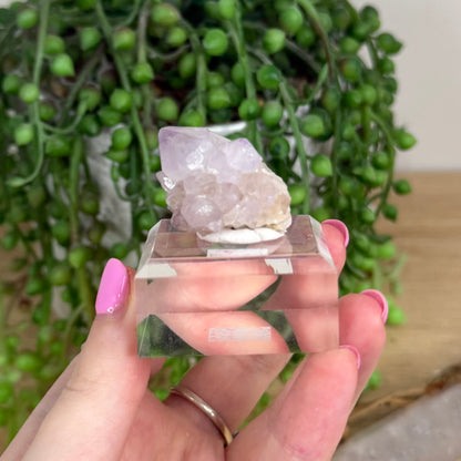 Spirit Quartz Cluster (X243)